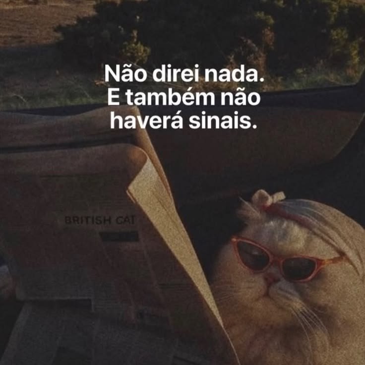 euvosfalo's tweet photo. @poptime Kkkkkk https://t.co/XD3ZmmOzrC