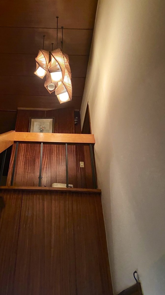 GO0324's tweet photo. そういえば、実家（世田谷区）の壁をアライグマが中から突き破ってきた時の写真、共有してなかった。 https://t.co/2EstLFVWiy