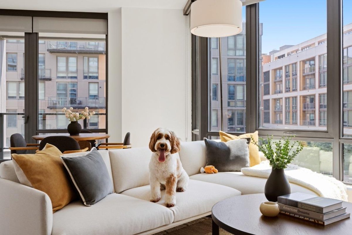 DianeLegacy1's tweet photo. A win for D.C. dog owners. 🏙️🐶

A new law prevents landlords from rejecting tenants based on a dog’s breed, size or weight, while limiting pet-related charges.

Because dogs are family. ❤️

#Dogs #PetFriendly #WashingtonDC #DogOwners https://t.co/eCXQZMzigh