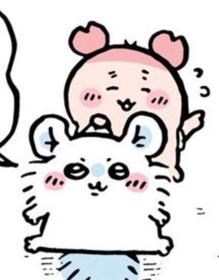 ua_mso's tweet photo. 어디갈때마다 질질끌고가는게 개~~~웃김 그냥 이제이건 그들만의 문화인거야 https://t.co/NknTV1CSdQ