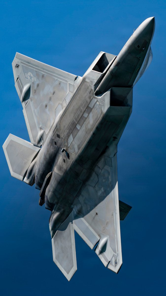 Remnantize's tweet photo. F-22 Raptor https://t.co/mrksH37FeM