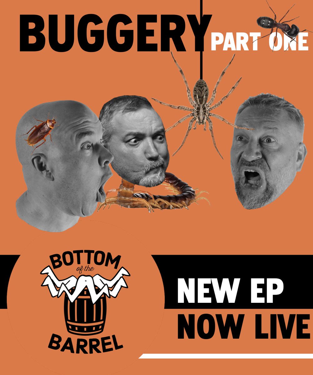 bottomofthepod's tweet photo. Right in time for Spooky Season, the lads are examining all manner of creepy-crawlies! Grab your flashlights and your flamethrowers and settle in!

Check out our new episode wherever you enjoy your podcasts; (see link in replies)!
cc: @KyleColby @JayHickmanMD @swapmonster https://t.co/iOhIwT49w8