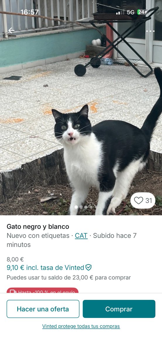 NDAEILISH's tweet photo. estamos puto idos de la olla??????? https://t.co/nbDsMWgojr
