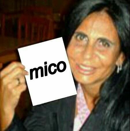 miinyzx's tweet photo. Quem tá postando que não se deve acabar amizade por política são os mesmo que apoiam um partido que é contra tudo que o coleguinha é! 
#Eleições2026 https://t.co/JvvT5LXpTY