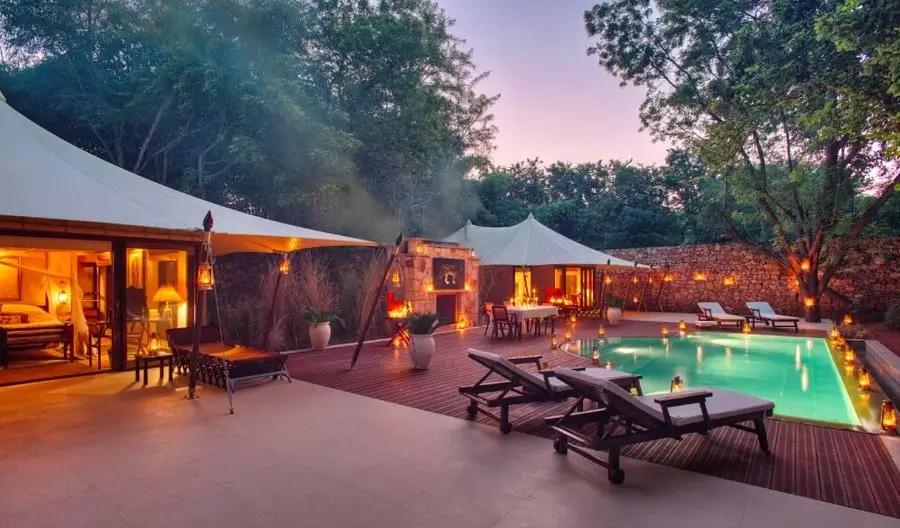 LaurenFairways's tweet photo. India’s wild side is calling. 🐅🇮🇳Ranthambore’s core zones reopened October 1, kicking off another tiger-safari season.Wildlife, luxury and adventure all in one trip.#India #Ranthambore #Safari #TigerSafari #LuxuryTravel https://t.co/c68S4aQ5CU