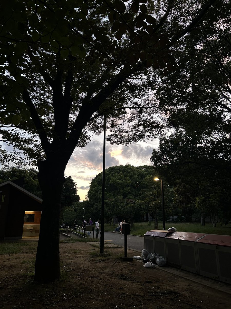 Krnyqo's tweet photo. 秋になると、恋愛してた時を思い出す。

金木犀の香り、風の音、枯葉、空の色、
楽しかった記憶と切ない記憶。

思い出を引き出すトリガーが多すぎる。 https://t.co/mwNRBkHigR