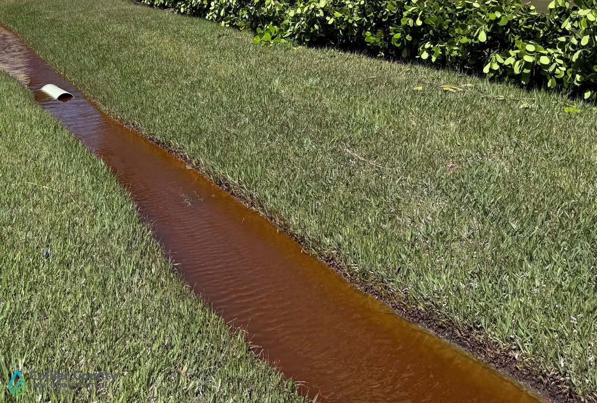 CollierGov's tweet photo. Don’t let polluted swales haunt your neighborhood! Do your part to prevent pollution and report polluted waterways to 311 or (239) 252-2502.

Learn ways to help prevent nutrient pollution from entering local waterways at home by visiting https://t.co/cIPvAisT7o https://t.co/oRTeGfse2y