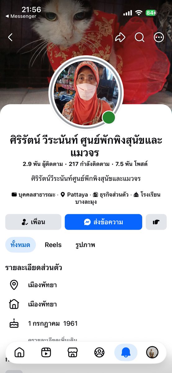 photobytoey's tweet photo. ❗️ รบกวนรีทวิต ❗️
สวัสดีค่ะทุกคน โพสนี้เรามาขอระดมทุนช่วยแมวป้าอ้อยอีกแล้วค่ะ ตัวนี้เป็นตัวที่เราเคยโพสไปเมื่อเดือนก่อน ตอนนี้แผลน้องเริ่มลามไปเยอะแล้วค่ะ แต่น้องยังไม่ได้รับการรักษา 
กับอีก 1 ตัวที่ป้าไปเจอมาที่ตลาด ยังไม่รู้ว่าน้องป่วยเป็นอะไรค่ะ ตอนนี้ป้าล้มกระดูกซี่โครงแตกเลยไม่ได้ทำงานค่ะ หากใครสะดวกฝากเมตตาน้องๆด้วยนะคะ 🙏🏻 

📍ชื่อบัญชี น.ส. ศิริรัตน์ วีระนันท์ 
ธ.กรุงไทย เลขที่ 6605101898 📍

สามารถเข้าไปดูเฟสป้าอ้อยได้ที่
https://t.co/gqqXXQl7mE…