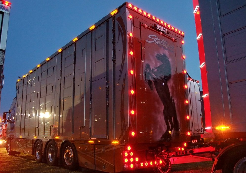 IsleMason666's tweet photo. The Stallion #Volvk #Volvotrucks #VolvoFHV3 #VolvoFHVersion3 #ClubV3 #Dieselgypsy #Stallion #Equestrian https://t.co/RJ0S0GCHPs