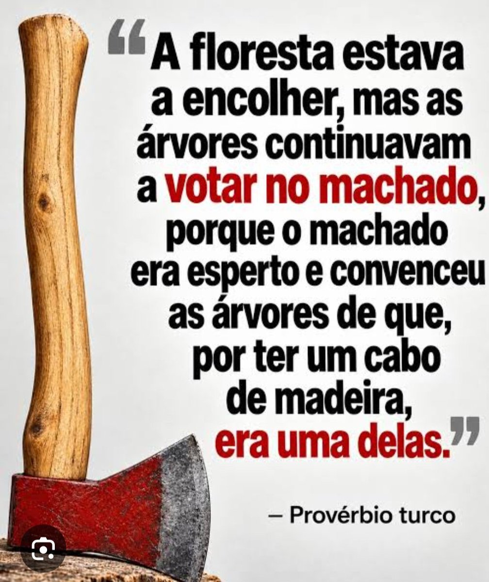 ReginaRamao's tweet photo. @andretrig https://t.co/my4Ld8JTUB