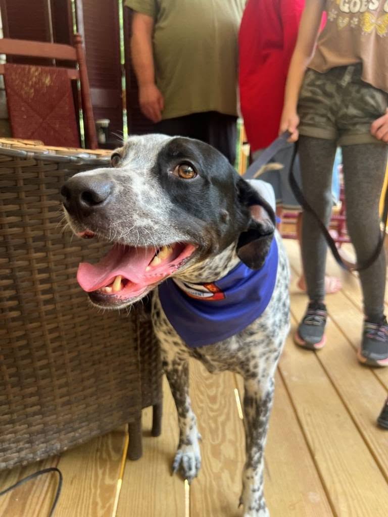 RedCross's tweet photo. Give it up for Tucker! He's a lifesaving hero. 🥹

When a mudslide triggered by Hurricane Helene ripped apart 11-year-old Jamie's home, he was buried beneath nearly 12 feet of rubble.

As rescuers searched, Tucker stood on the debris and barked relentlessly. Eventually, firefighters realized he wasn't just making noise — he was showing them exactly where to find Jamie.

Because Tucker never gave up, Jamie was found alive.

As Jamie recovered, the community showed up to support him and his family. @RedCross_NC volunteers connected with the family and provided them with comfort, resources and financial assistance in the days after the disaster and throughout their recovery journey.

Jamie and his family are now rebuilding their lives after losing nearly everything. Recently, they celebrated a significant milestone: moving into a new home.

And one of the first things Jamie added to his new room was a dog bed for Tucker — the dog who never left his side when he needed him most. ❤️