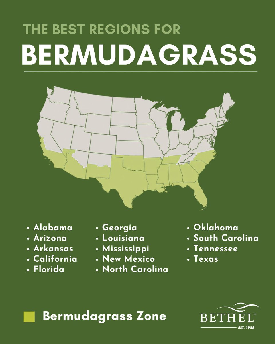 BethelFarms's tweet photo. Trying to figure out if bermudagrass is right for your lawn? 

Known for its high drought tolerance, rapid growth rate, and excellent recovery from heavy foot traffic, bermudagrass thrives in warm, sunny environments. 

#grass #bermudagrass #lawn #lawncare https://t.co/5a19efrtqU