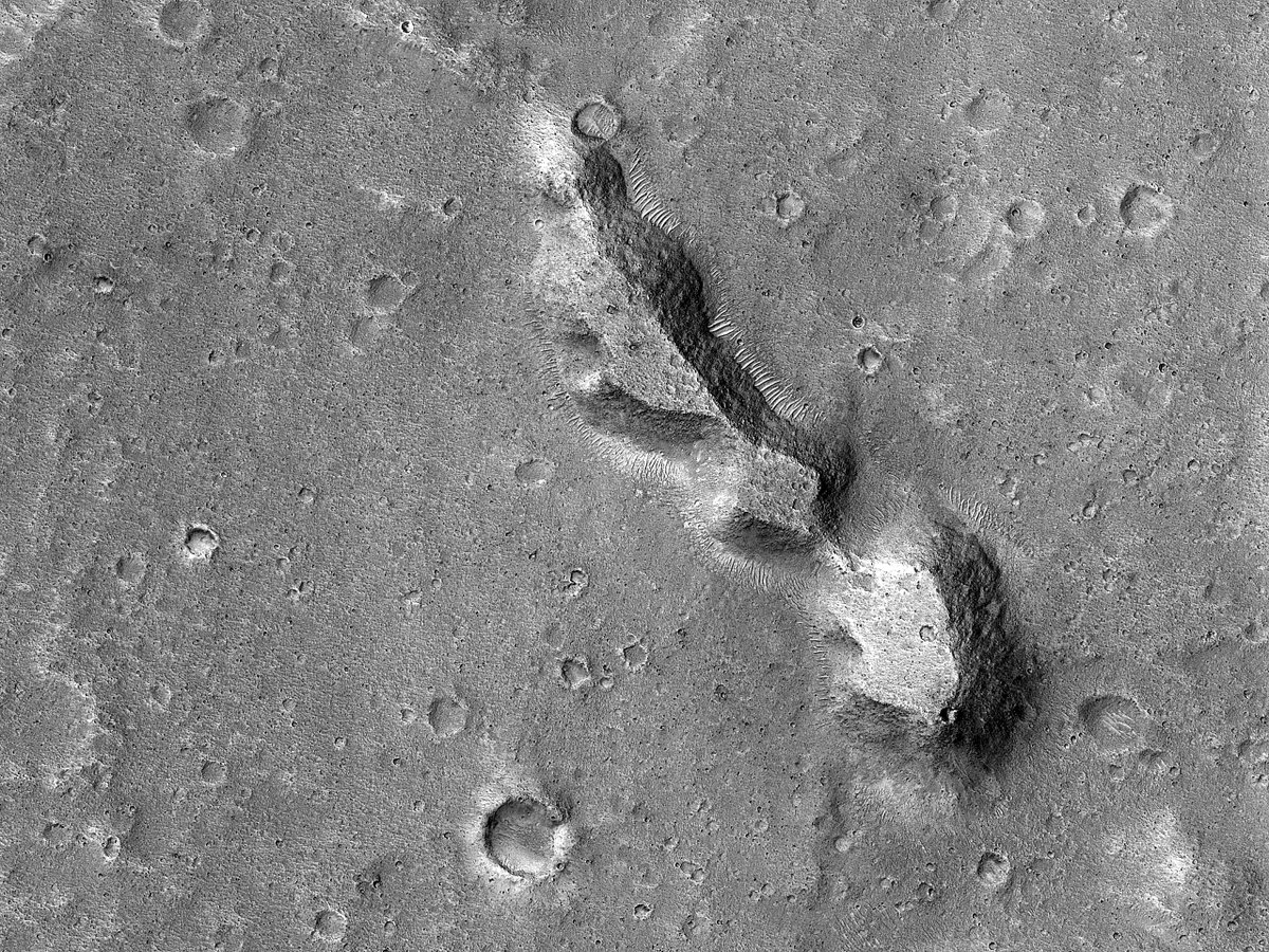HiRISE's tweet photo. HiPOD: Streamlined Landforms

These streamlined landforms adjacent to Shalbatana Vallis show multiple levels of fluvial dissection. An outflow channel carved by massive floods of escaping groundwater, Shalbatana Vallis is over 1300 km long (808 miles). 

https://t.co/vjHp5HrEd1 https://t.co/rp1lQgxV5w