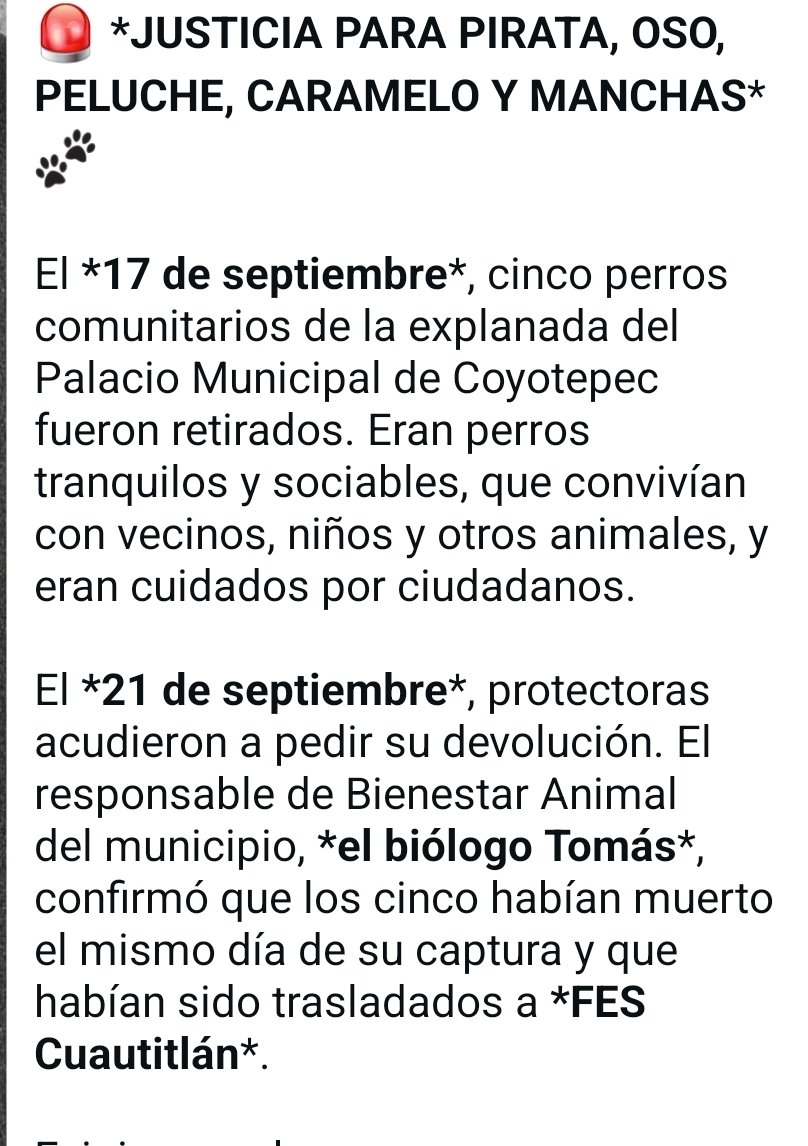 LicAnimalista's tweet photo. En este país es lamentable que autoridades desaparezcan inocentes con total impunidad y los asesinen como sucedió con los perritos comunitarios de Coyotepec, asesinados por la #MataPerros #MarisolLuna, exigimos justicia @FiscaliaEdomex @propaem_sma @CEPANAF @delfinagomeza https://t.co/pbISCXhL6u