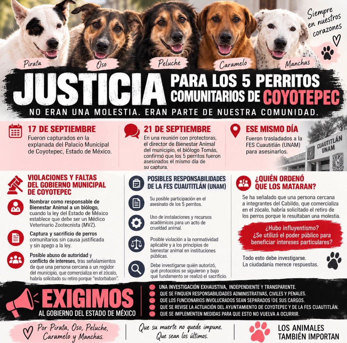 LicAnimalista's tweet photo. En este país es lamentable que autoridades desaparezcan inocentes con total impunidad y los asesinen como sucedió con los perritos comunitarios de Coyotepec, asesinados por la #MataPerros #MarisolLuna, exigimos justicia @FiscaliaEdomex @propaem_sma @CEPANAF @delfinagomeza https://t.co/pbISCXhL6u