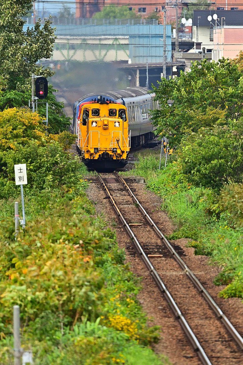 kiyomi_ikehata's tweet photo. 「THE ROYAL EXPRESS HOKKAIDO CRUISE TRAIN 」
日本最北端の旅、復路
士別駅を出発するロイヤルエクスプレス
やっぱり直線よりもクネッとするシーンが良いですね😊
宗谷本線 士別駅
2026年9月13日撮影
#ロイヤルエクスプレス
#the_royal_express
#de15
#撮り鉄
#鉄道写真
#士別駅
#士別市 https://t.co/Bf5ga5GH2L