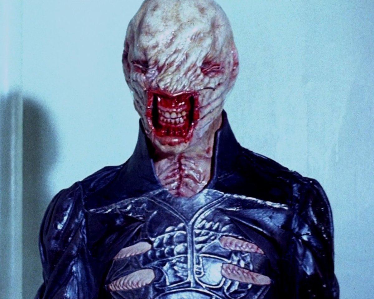 cinemetary's tweet photo. feeling so maternal over chatterer he’s so cute https://t.co/EMzlA5ODwW