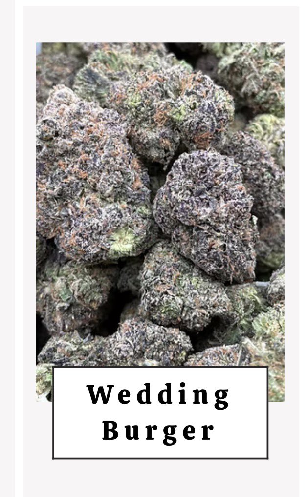 despaird0ll's tweet photo. (explaining this weed strain to an american) so imagine a burger on the most important day of its life https://t.co/mj5B10njtI