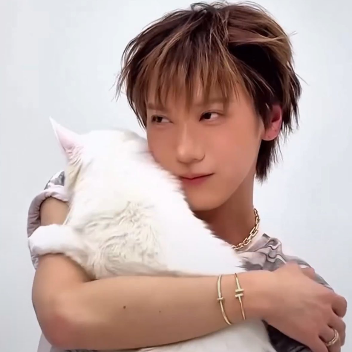 hyena_39's tweet photo. แก้มที่ซบแมวนั้นอะ น่ารักโคตรจะบ้าาา ㅠㅠ https://t.co/ZavxnsTXYd