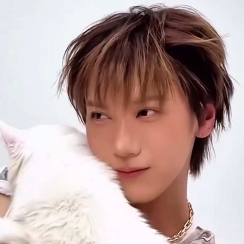 hyena_39's tweet photo. แก้มที่ซบแมวนั้นอะ น่ารักโคตรจะบ้าาา ㅠㅠ https://t.co/ZavxnsTXYd