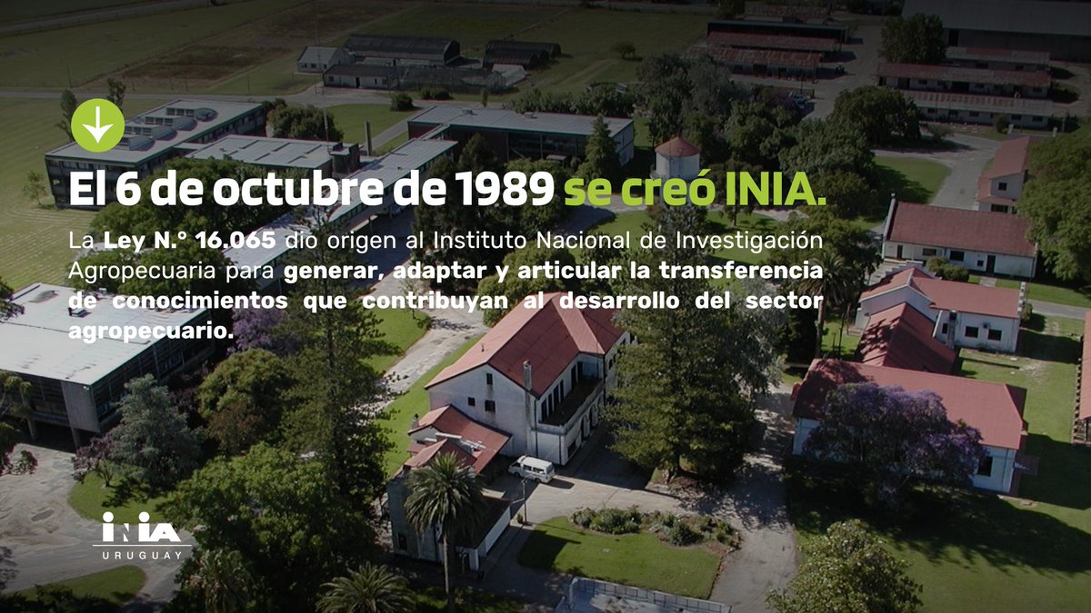 INIA_UY's tweet photo. Hoy INIA cumple 37 años. 🌱

Una historia que comenzó en 1989 y que sigue avanzando junto con las transformaciones del agro uruguayo. https://t.co/XSXbYRILn4