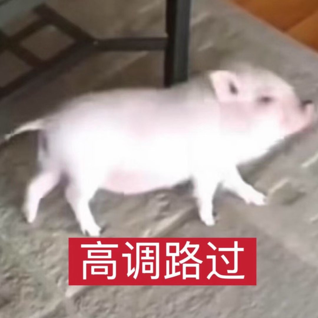 vg1h5's tweet photo. 突然多了人关注 你们喜欢被喂狗粮吗 为什么关注我 目前只会有和老公的日常和我的废话 暂时不考虑录实录 因为我觉得一边做一边录很困难 我就只会专心于一件事 我怕拍不好 🥹 https://t.co/JCkTmEeHHj