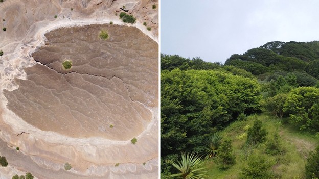 IBE_Barcelona's tweet photo. 🌱 Viaje a Ascensión: la isla que ha pasado de ser un desierto a un frondoso bosque gracias a un proceso de ingeniería

Un equipo de investigación del @IBE_Barcelona y la @UPFbiomed estudia la transformación de la isla para comprender estos cambios.

👉https://t.co/cLnPt9QfIX https://t.co/u2DuSU8LrV
