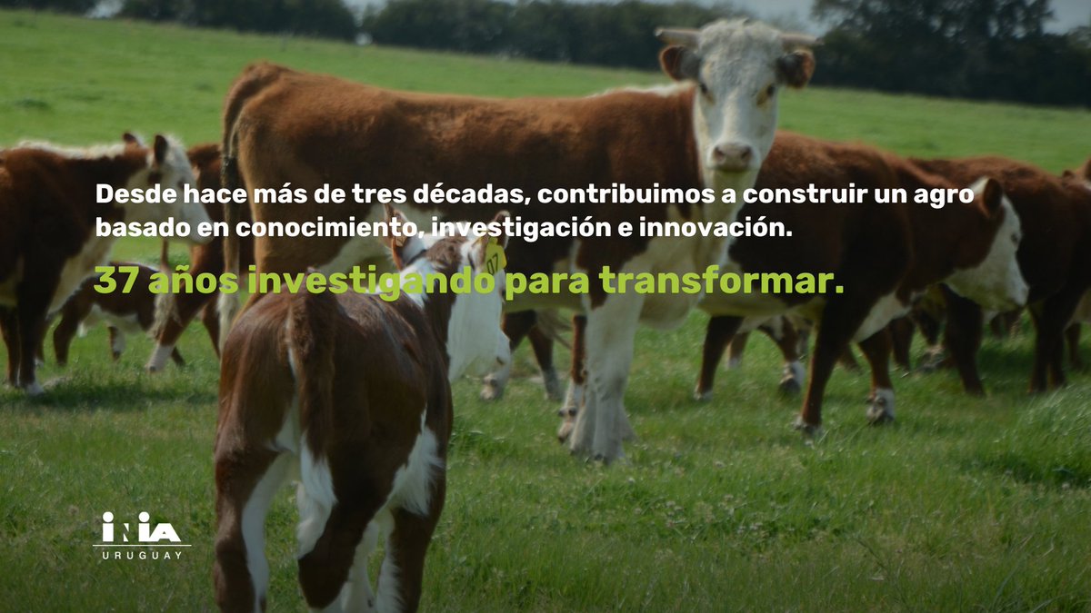 INIA_UY's tweet photo. Seguimos generando conocimiento para contribuir al agro. 

¡37 años investigando para transformar! https://t.co/8roG8hZSsi