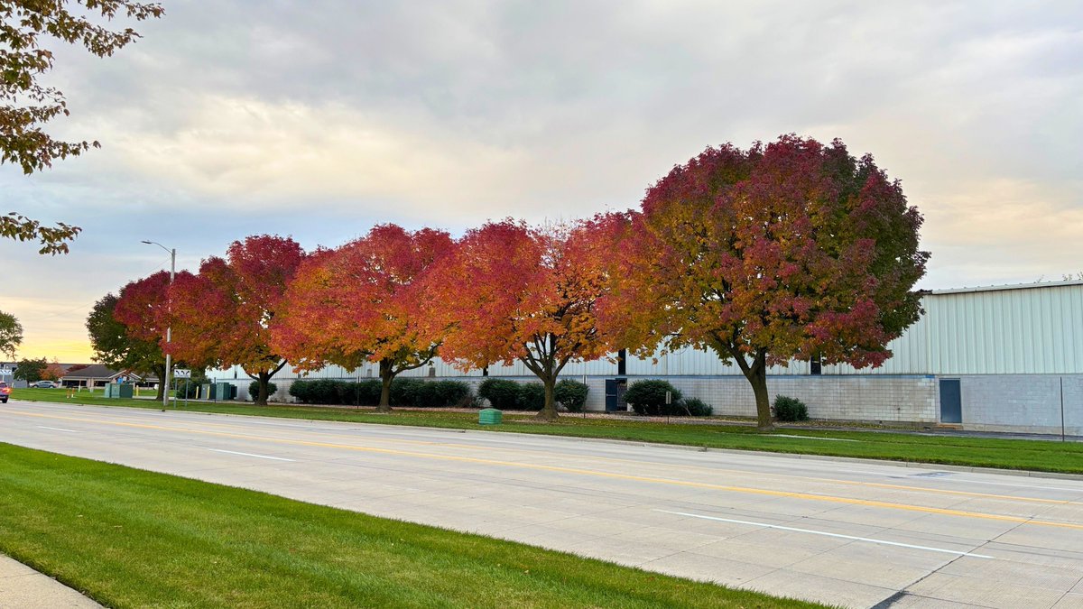 EDC_News's tweet photo. 🍂 Fall is in full color! Just like every great exhibit, this season brings bold colors, fresh inspiration, and plenty to admire.
#exhibitdesign #fallshows #corporatedesign https://t.co/7wSjoiu1Xn