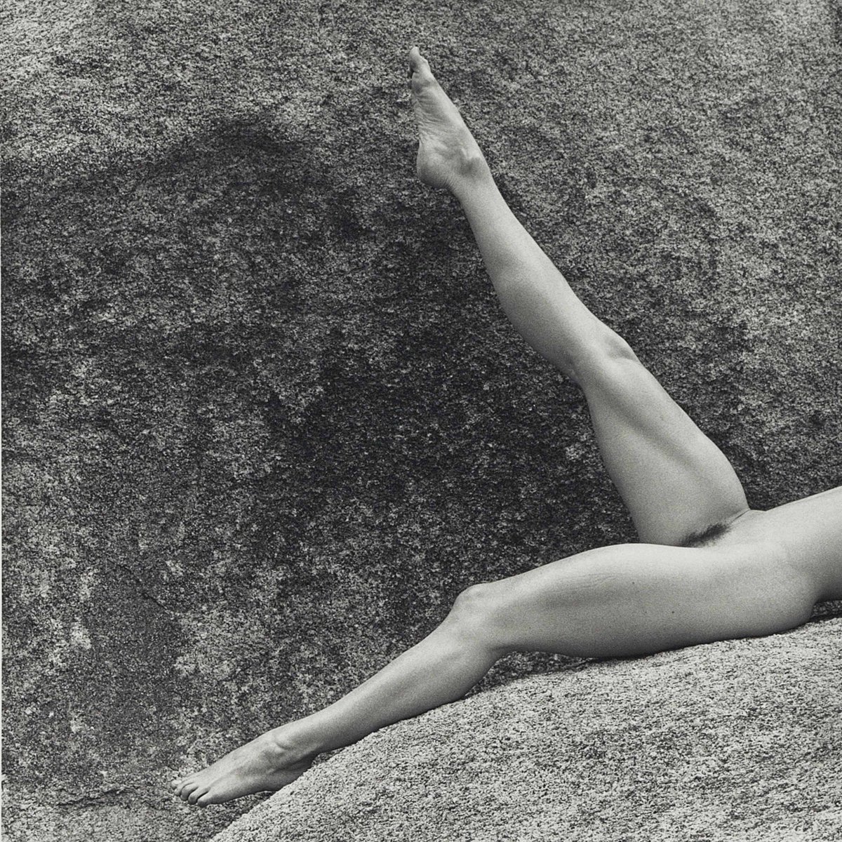 NostosLit's tweet photo. Lisa Lyon, Photo by Robert Mapplethorpe, 1980 https://t.co/eCfFI6G8RU