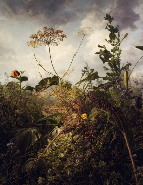 madrugada_m's tweet photo. In der Natur ist alles mit allem verbunden,
alles durchkreuzt sich, alles wechselt mit
allem, alles verändert sich eines in das andere.

- Gotthold Ephraim Lessing - https://t.co/T0BF8E1cGM