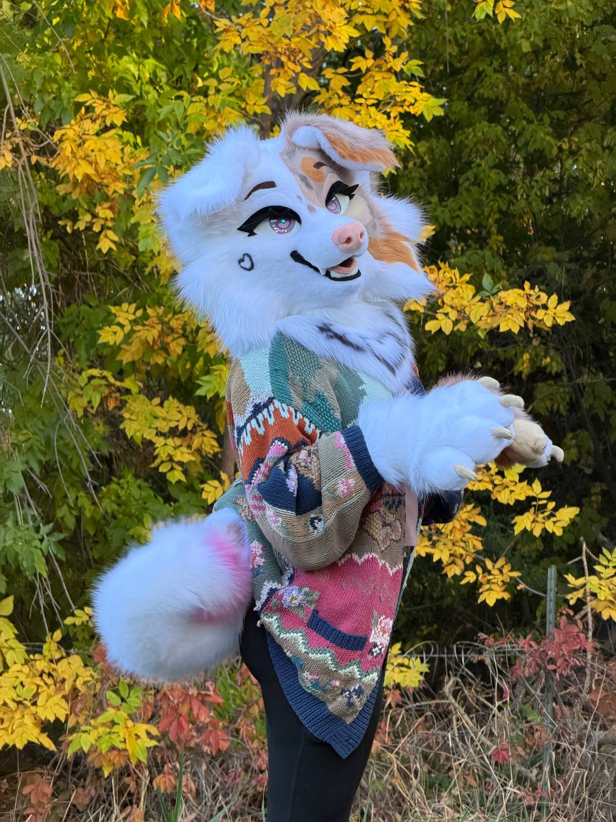 oops_cry's tweet photo. all my premades start at $500 USD! 

This baby is now open for bids 😝🫶 (insta for more pics!) https://t.co/lKFJCHLViN
