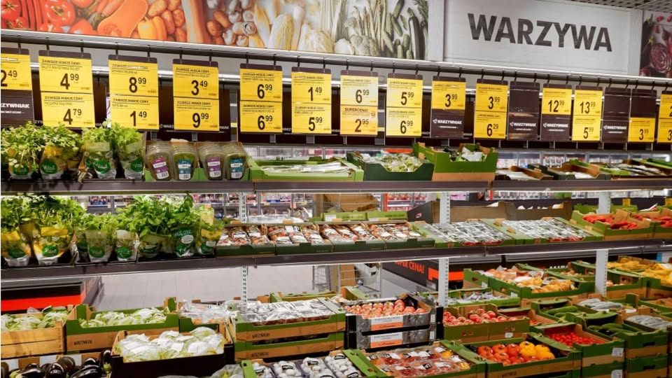 BlogerPisarz's tweet photo. Wchodzisz do polskiego marketu jesienią: ziemniaki z Egiptu, marchew z Holandii, cebula z Niemiec.🇩🇪 A kilometr dalej polski rolnik nie ma gdzie oddać swoich zbiorów, bo w skupie słyszy, że „magazyny pełne”, albo proponują mu stawkę,która nie pokrywa nawet kosztu worka i paliwa. https://t.co/UkeYQpNanV