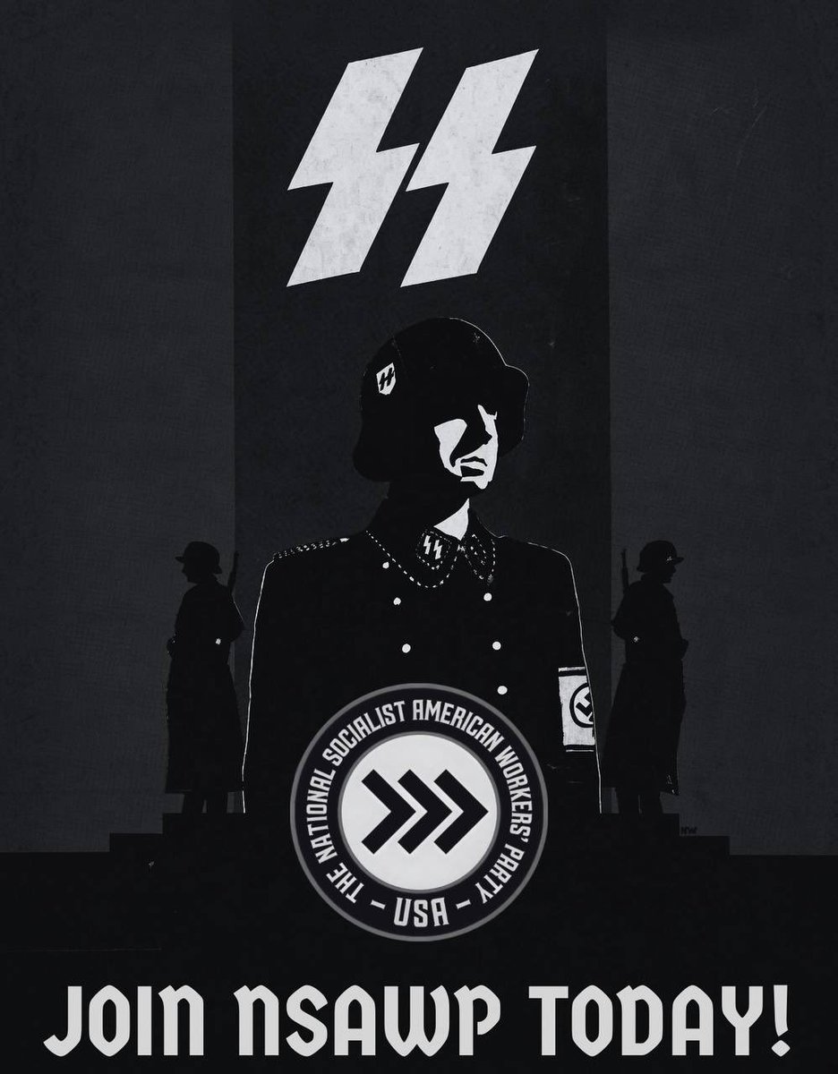 NSAWP__MT's tweet photo. Every day we are being replaced by more and more people who aren’t white. We were once the majority and now we are becoming the minority. It is sad to see America plagued by such things as this. What was once so beautiful is slowly turning into a land of degeneracy and the slow decline of the America that once was. We should not stand around and be idol and let these people win, let this system crush us.
     Transgender LGBTQ agendas are pushed in elementary and middle schools. Kids are being indoctrinated into this without know what’s going on. Brainwashed at such a young age to believe it. This is just one of the many problems that we face in the America that we live in today. Help us stop the indoctrination of our kids, of our people. Help us take back what was once ours. 

https://t.co/TlRYq95GeD

@NSAWP_  @nsawpm @NSAWP_SE @NSAWP_IN @NSAWP_Arizona