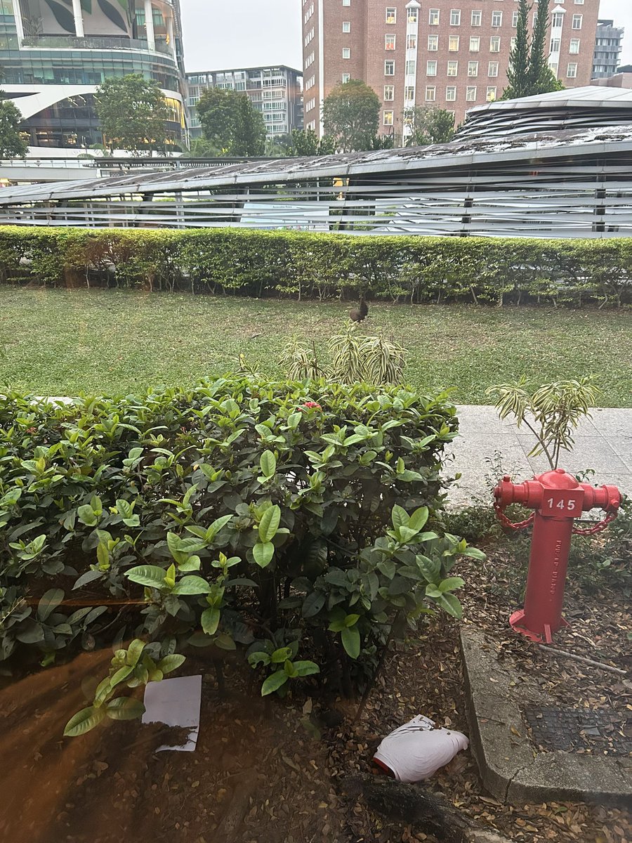 mikanand3's tweet photo. そいえば今日、地下鉄とタクシーとバス全部1人でできてかっこよくなった

ローカルに近づいた‼︎みたいな https://t.co/thNiXhKJX6