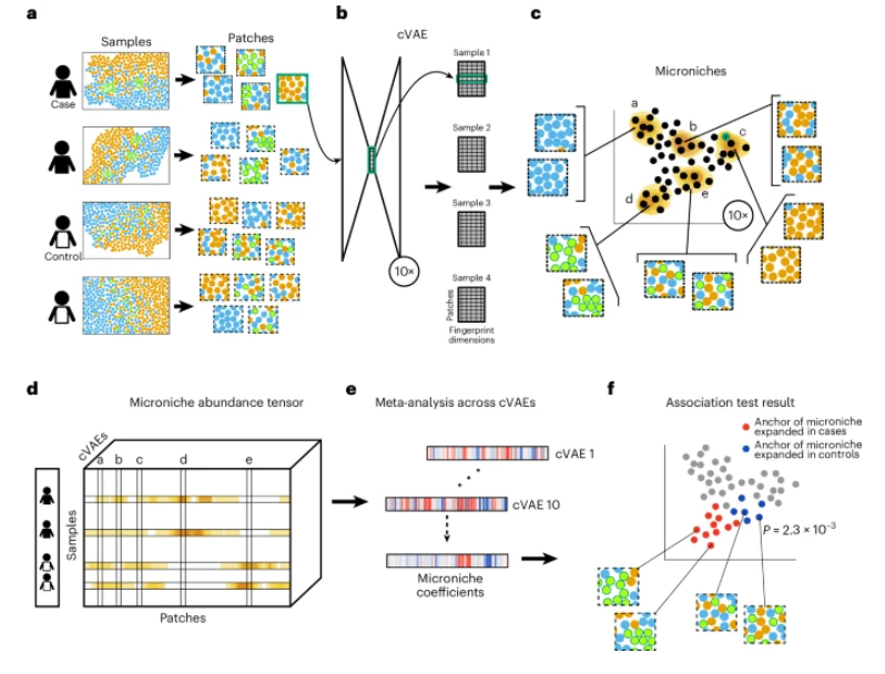 naturemethods's tweet photo. VIMA: a deep learning-based method to identify differentially enriched features in spatial datasets.

https://t.co/NHMfV3m46W https://t.co/e7qdDwFvPc