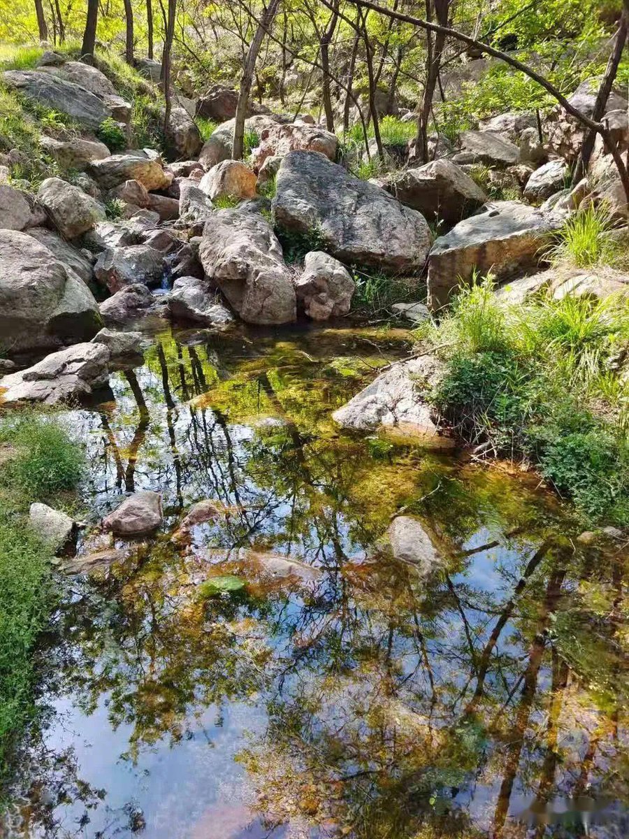CarolineNerrs5's tweet photo. [En el paisaje de Yiyun Cang, la serenidad fluye con la brisa de la montaa y el susurro de los arroyos]， https://t.co/hIYof0hMd1