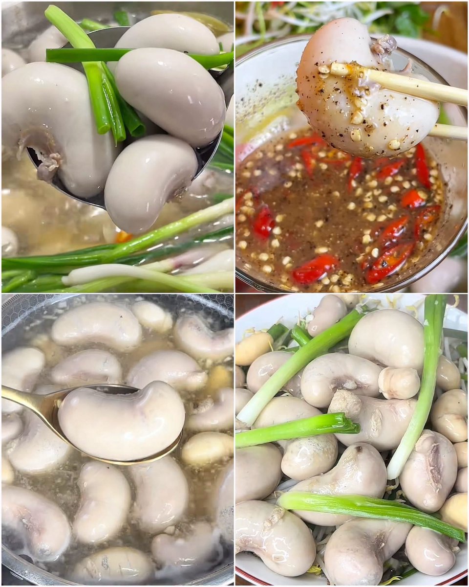 Louisb_crypto's tweet photo. Chiều thứ 4 có cật luộc.🤤
Dai, ngọt, hành lá thơm, chấm mắm ớt tiêu là đúng bài. Nhìn dĩa thôi đã thèm.🙂
Chiều nay nhà bạn ăn cật chưa? 🌶️✨
#catluoc #chieuthu4 https://t.co/MevtzDVReO
