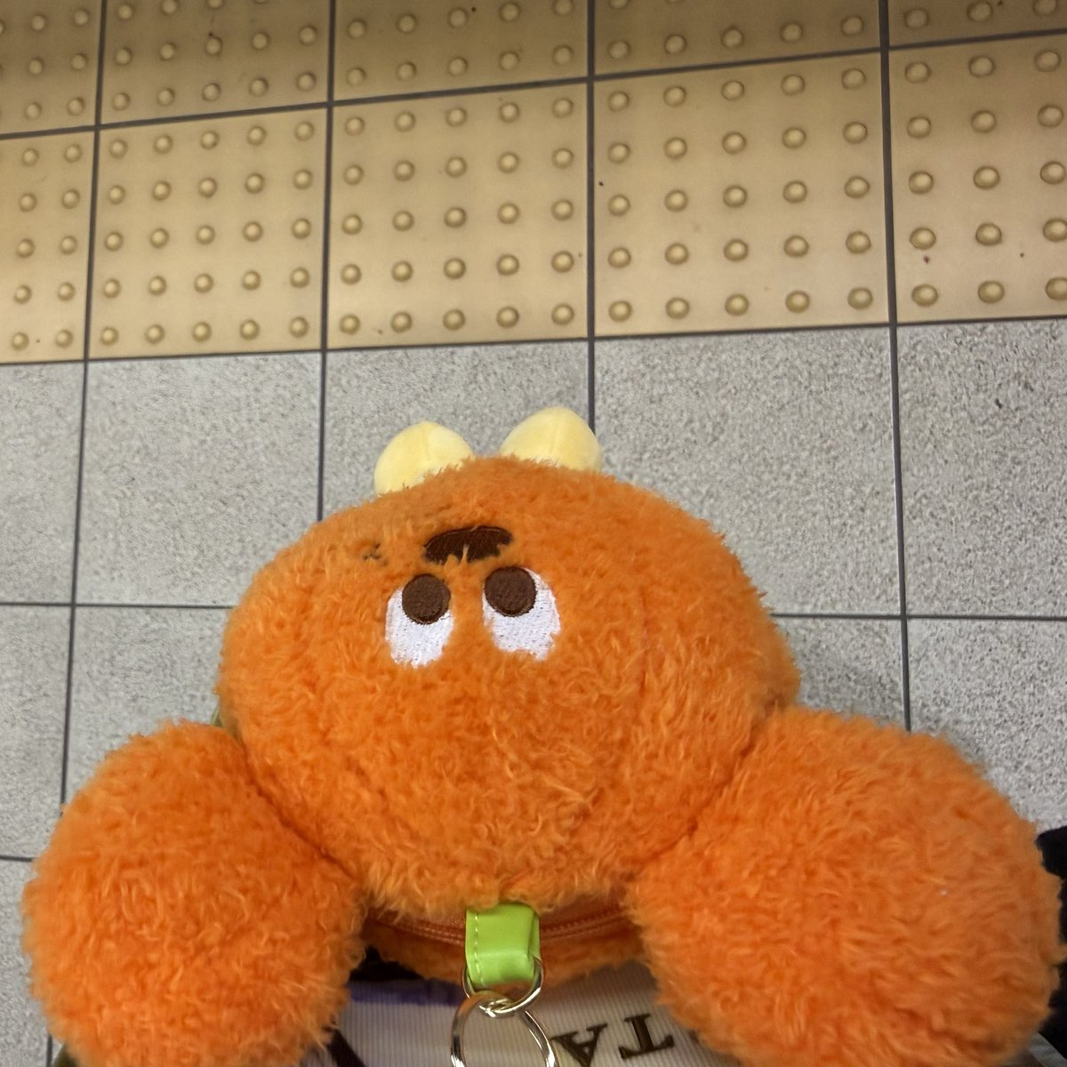 ___aayan2525's tweet photo. 普段買ってってお願いすることあんまないんだけど旦那におねだりしたかぼらんたんかわいい🎃🤍˙⋆✮ https://t.co/CgnvJdtIZt