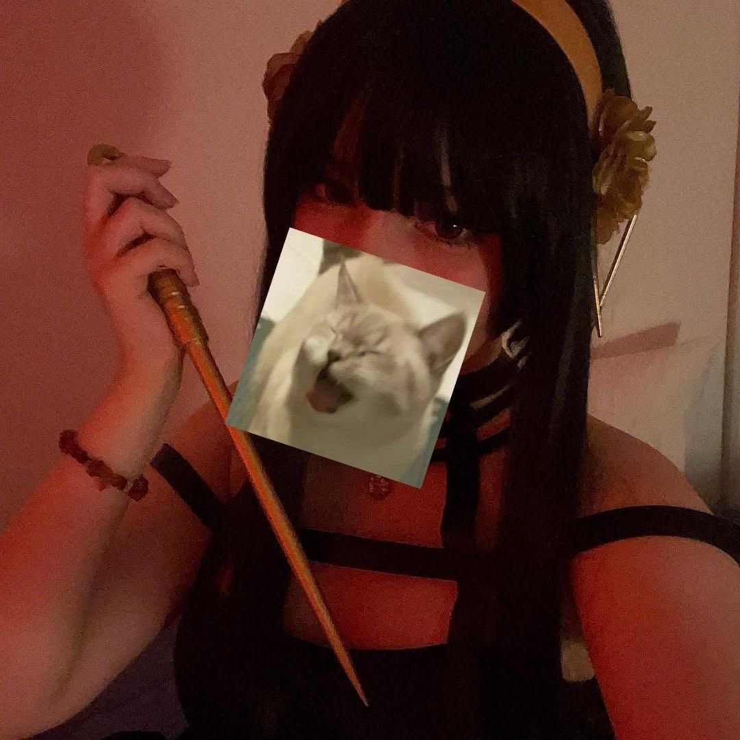alter_match's tweet photo. 🩷malem fren, ada yg mau moots sama mama yor? buat yg suka cosplay yuk kita cosdate atau mau ngopi aja juga boleh. sender ada di rep with emot🐸 https://t.co/pJJgL2YSjD
