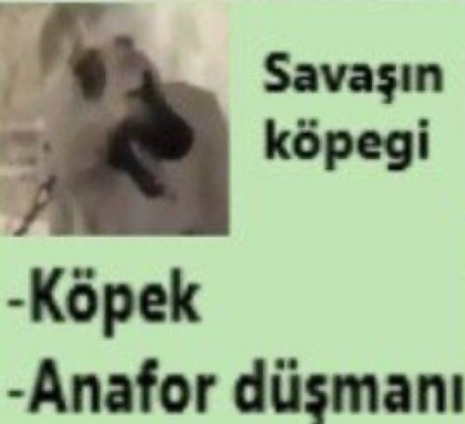 Morata77gs's tweet photo. Olucem amk ya https://t.co/BYSkmAR0Ku