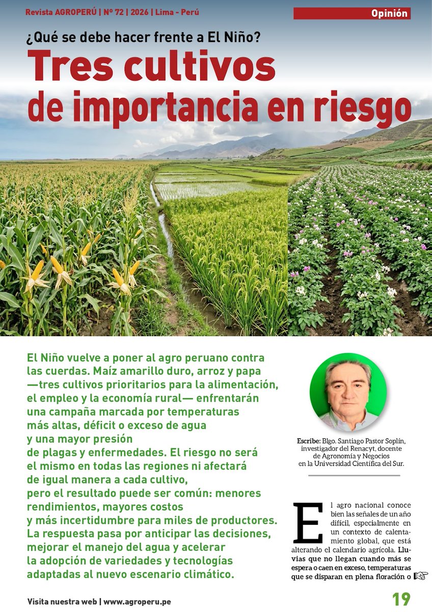 Sanpasop's tweet photo. Investiga Innova Cacao Chocolate  -  Research Innova Cocoa Chocolate: EL NIÑO: Tres cultivos en peligro y todo el agro. https://t.co/hEHAQi5hVn https://t.co/iVlTRgkpz5