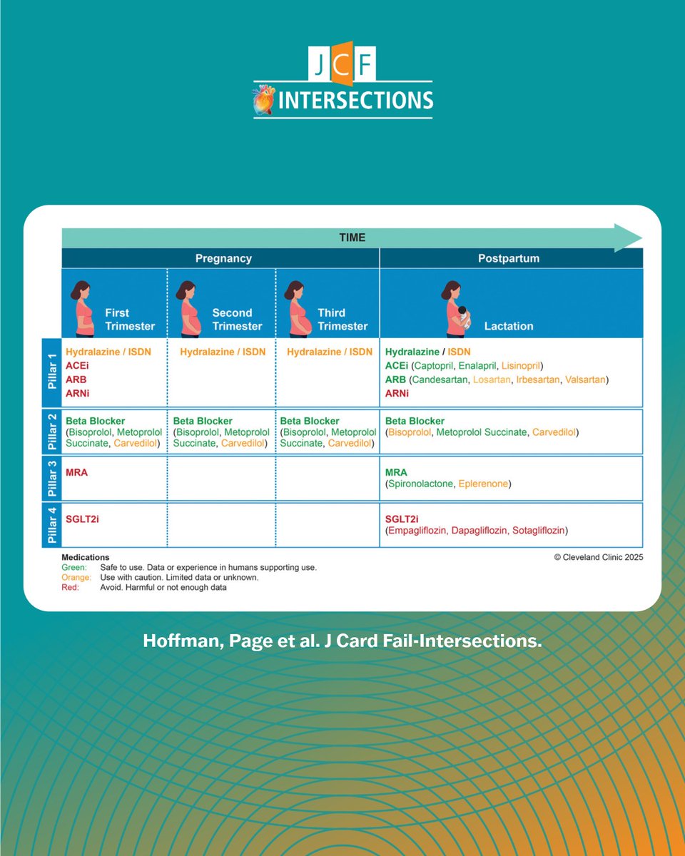 JCFINT's tweet photo. Heart failure doesn't pause for pregnancy🤰, but many HF medications do. 💊🫀

This State-of-the-Art review provides a practical guide to GDMT across preconception, pregnancy, postpartum &amp; lactation ... balancing maternal health with fetal safety. 🤱

🔗 https://t.co/hn51cF97PL https://t.co/gfYouaQq8u