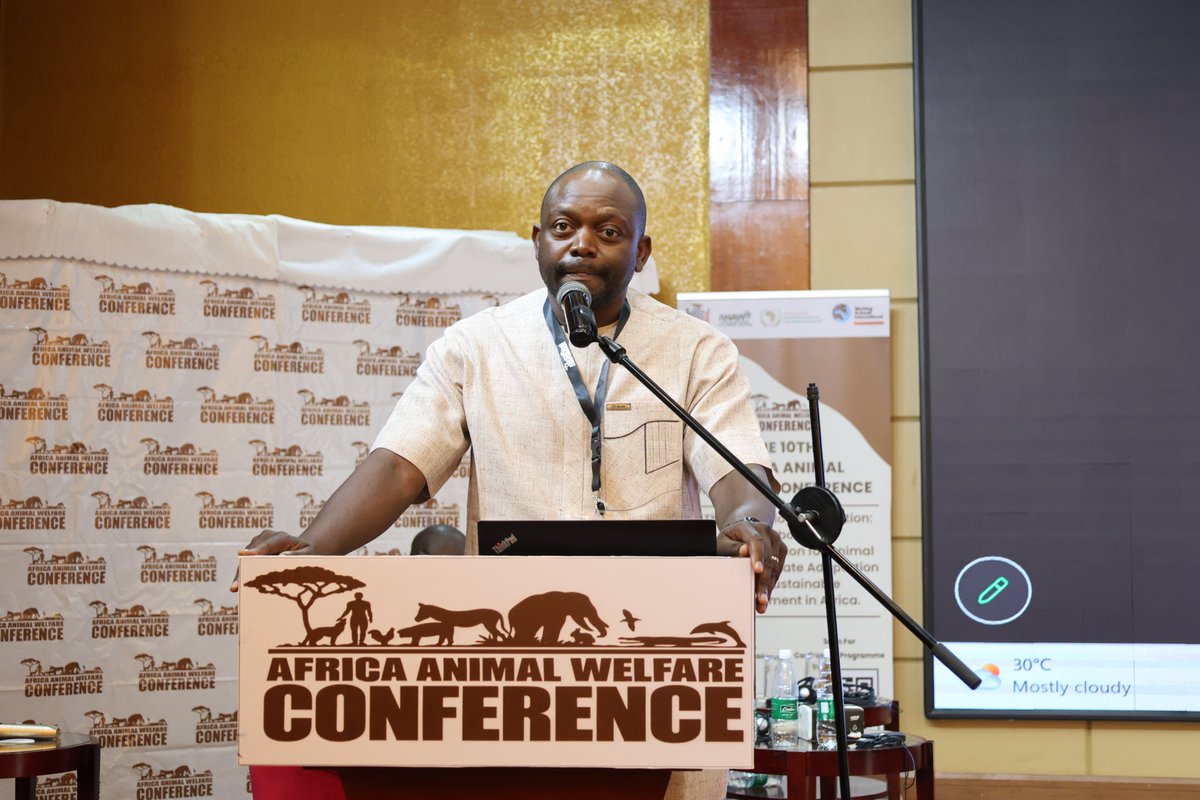 AAWConference's tweet photo. The final session of Day 2  focused on the role of research, innovation, education and community stewardship in advancing sustainable animal welfare.

The session explored:
-Building Sustainable Animal Welfare Through Education, Sterilization, Vaccination, and Collaboration
-Advancing Animal Welfare and Public Health through Veterinary Leadership
-Bridging Gaps in Applied Ethology in Africa: Translating Animal Behavior and Welfare Science for Diverse Stakeholders
-Community and Agricultural Practice Perspective

Speakers included: Harriet Lukiya, Lusaka Animal Welfare Society; Dr. Eugene Chisela Bwalya, Veterinary Association of Zambia; Dr. Iyasere Oluwaseun, WTS and Tozie Zokufa, Coalition of African Animal Welfare Organizations.

#AAWC2026 #AAWCZambia #AnimalWelfare #ClimateAction #SustainableDevelopment #AAWCLusaka