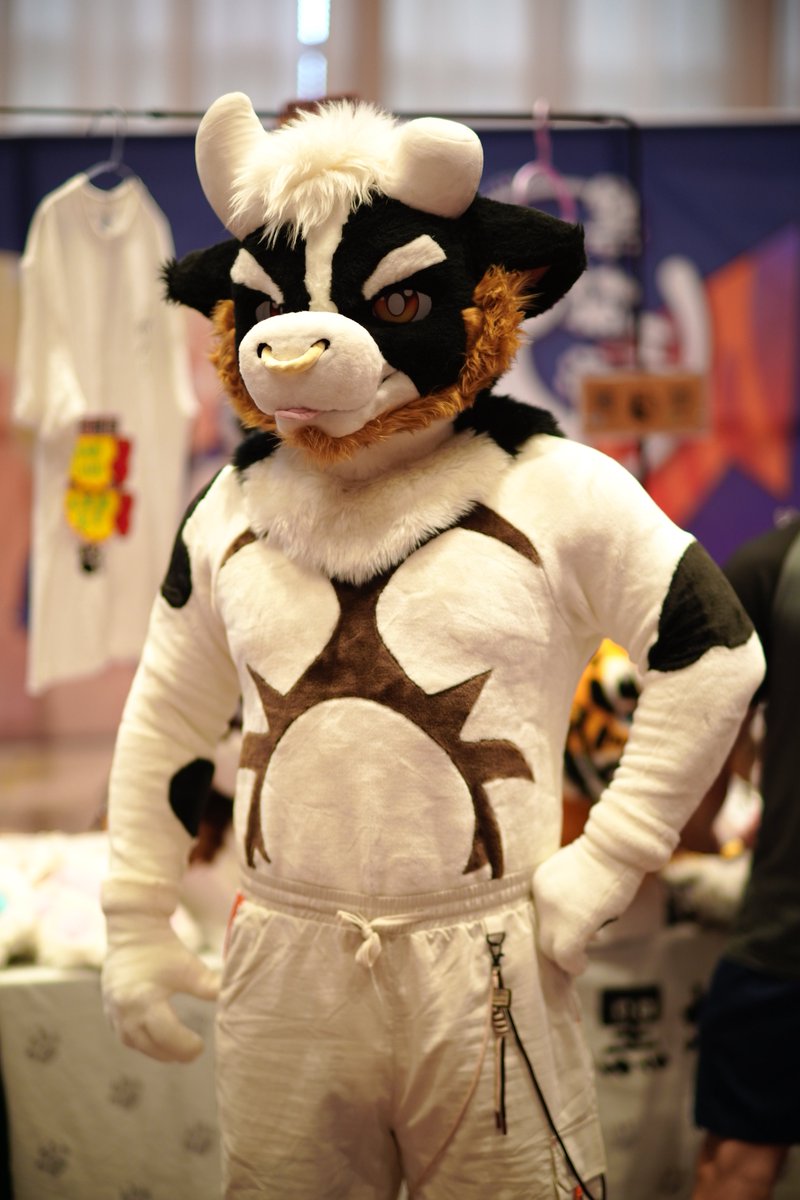 kangdaniu's tweet photo. 闪击 hifurry 去了一天 #furry #hifurry  #fursuit https://t.co/Sda6axHm63