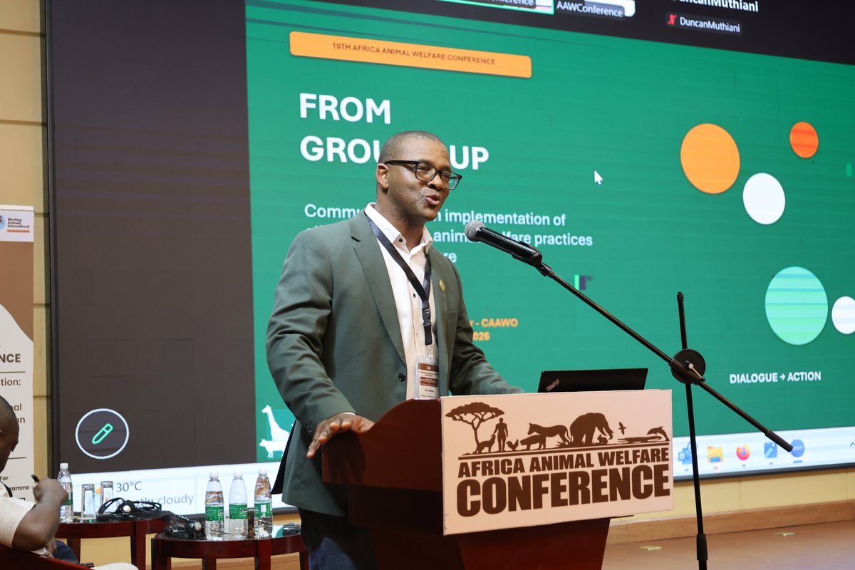 AAWConference's tweet photo. The final session of Day 2  focused on the role of research, innovation, education and community stewardship in advancing sustainable animal welfare.

The session explored:
-Building Sustainable Animal Welfare Through Education, Sterilization, Vaccination, and Collaboration
-Advancing Animal Welfare and Public Health through Veterinary Leadership
-Bridging Gaps in Applied Ethology in Africa: Translating Animal Behavior and Welfare Science for Diverse Stakeholders
-Community and Agricultural Practice Perspective

Speakers included: Harriet Lukiya, Lusaka Animal Welfare Society; Dr. Eugene Chisela Bwalya, Veterinary Association of Zambia; Dr. Iyasere Oluwaseun, WTS and Tozie Zokufa, Coalition of African Animal Welfare Organizations.

#AAWC2026 #AAWCZambia #AnimalWelfare #ClimateAction #SustainableDevelopment #AAWCLusaka