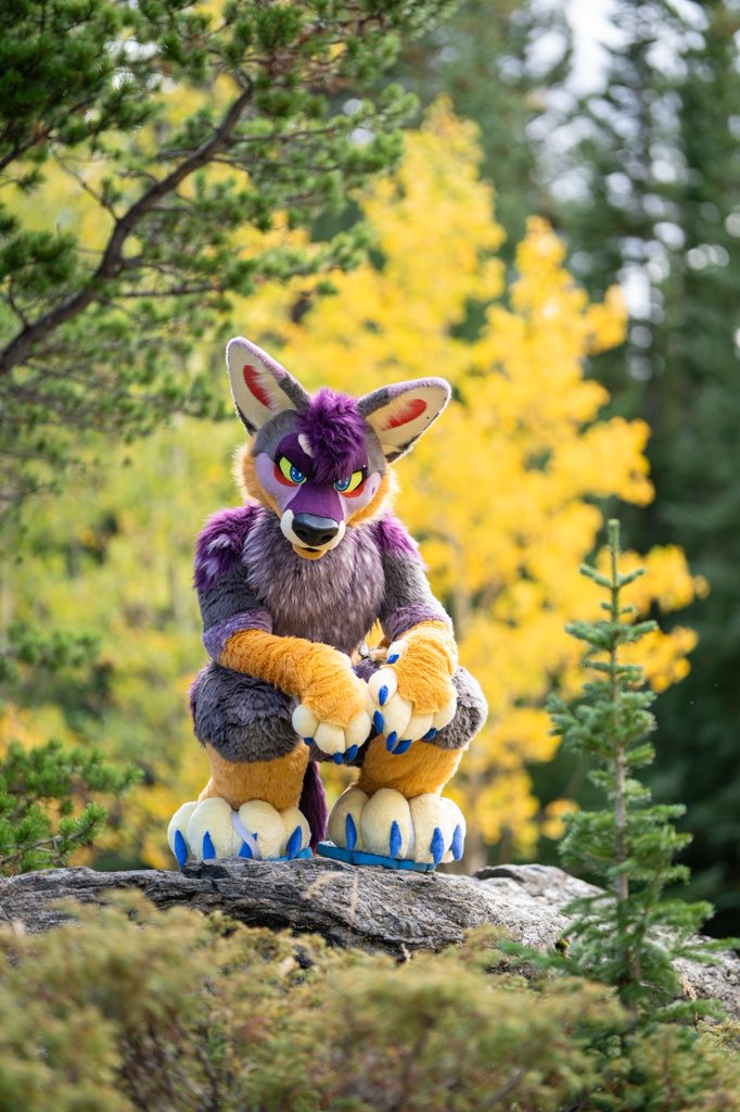 StellarAntares's tweet photo. Taking in the colorful scenery? 

🔺: @TheHuskyNorth https://t.co/a6o4FbTr3W