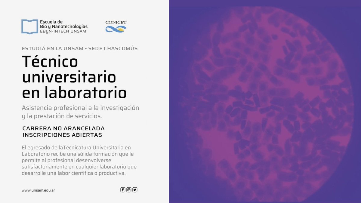 ebynunsam's tweet photo. 📣Inscripciones abiertas para la Tecnicatura Universitaria en Laboratorio de la UNSAM en el @IntechChascomus 

📩docencia@intech.gov.ar
⬇️Más info de la carrera en el siguiente enlace: https://t.co/N1D7rvbyPz https://t.co/Xehm2Fg0G1