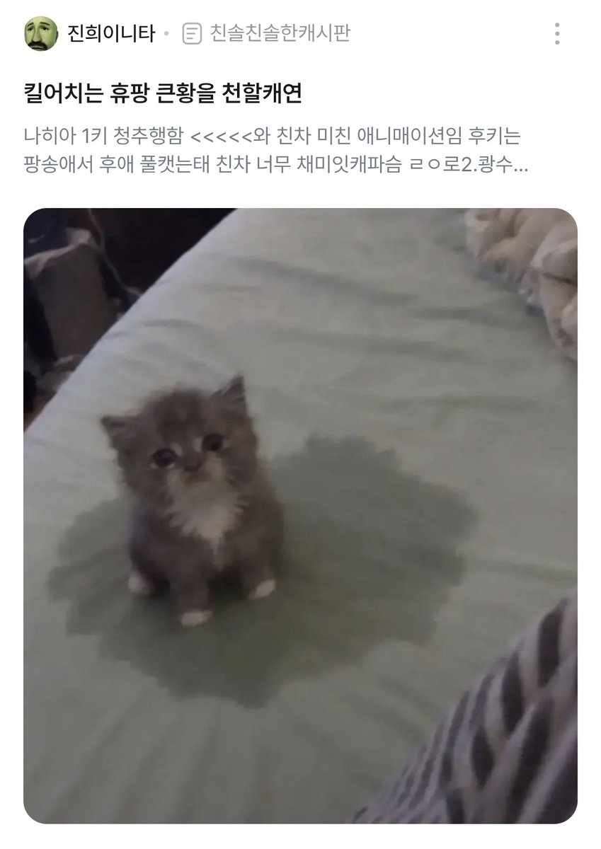 lepomme05's tweet photo. 진희 왜 자꾸 실수한 고양이짤 올려여? 심지어 글하고 관련없는게 어이업음.. https://t.co/zW4M95s33u