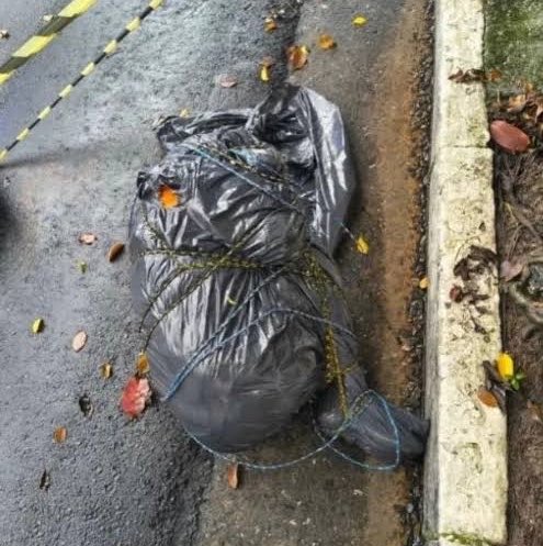 CrimesReais's tweet photo. 🚨 Internautas apontam que um possível serial killer pode estar à solta, agindo em São Paulo.

Desde setembro, cerca de seis corpos foram encontrados enrolados em sacos plásticos na cidade. Em todos os casos, as vítimas foram assassinadas de maneira semelhante, seguindo o mesmo modus operandi.